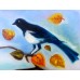 Autumn Magpie